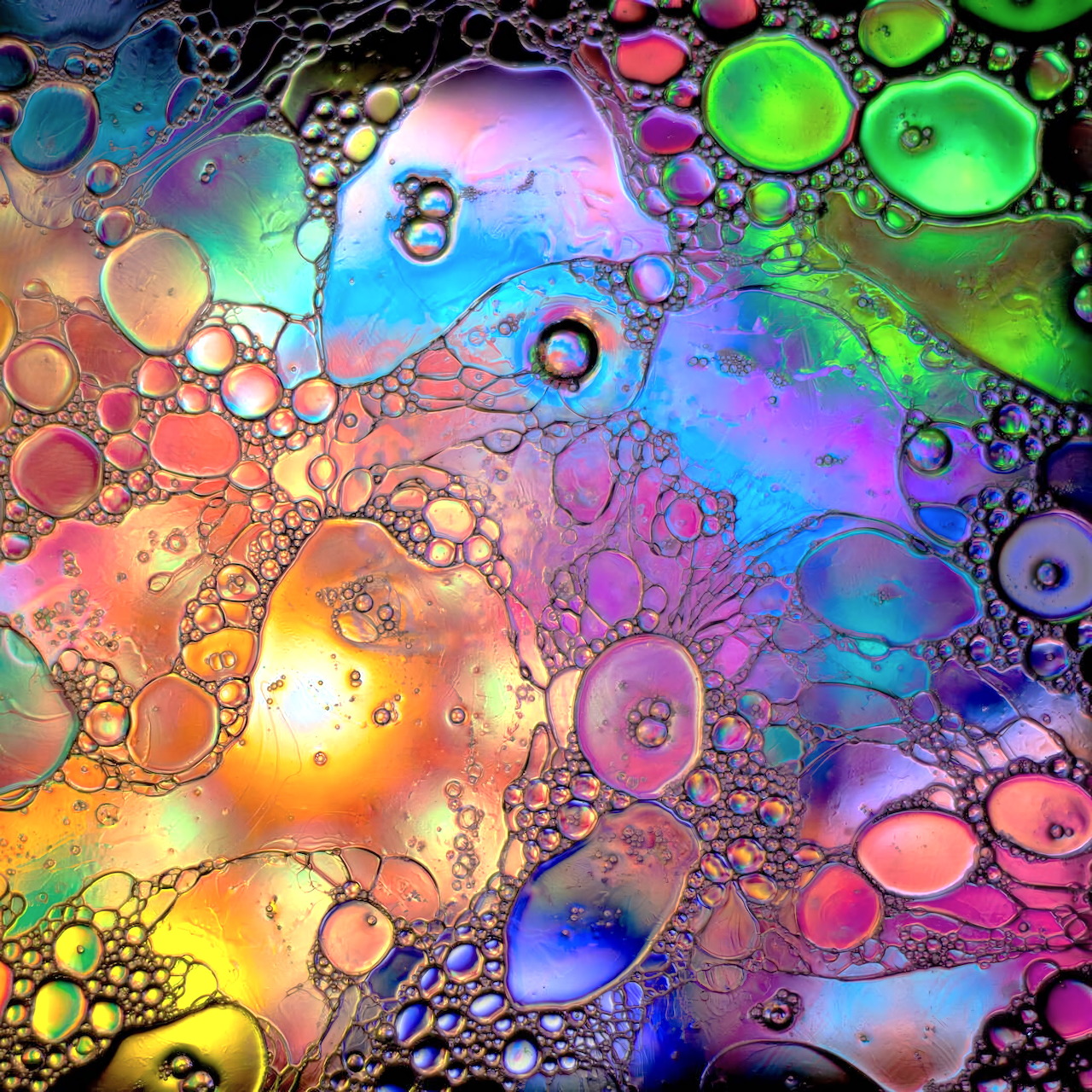 Colorful abstract oil bubbles with rainbow iridescent patterns and circular shapes on dark background