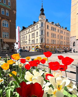 Red, yellow, and white tulips in front of a historic building on a sunny Helsinki street