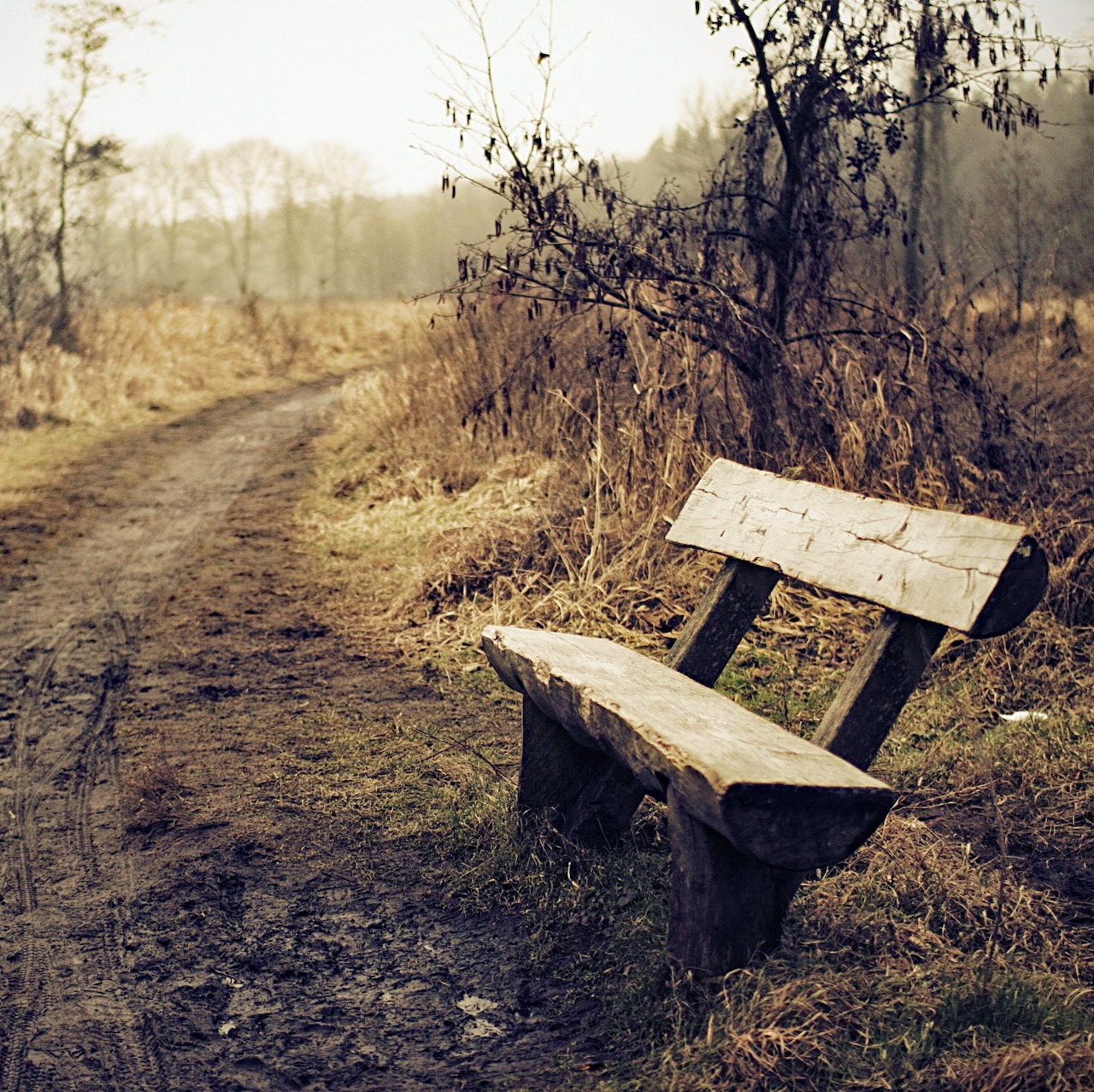 Rustic Bench Path