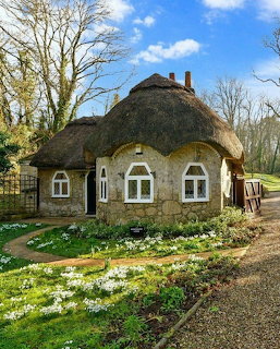 Thatched Cottage with Snowdrops