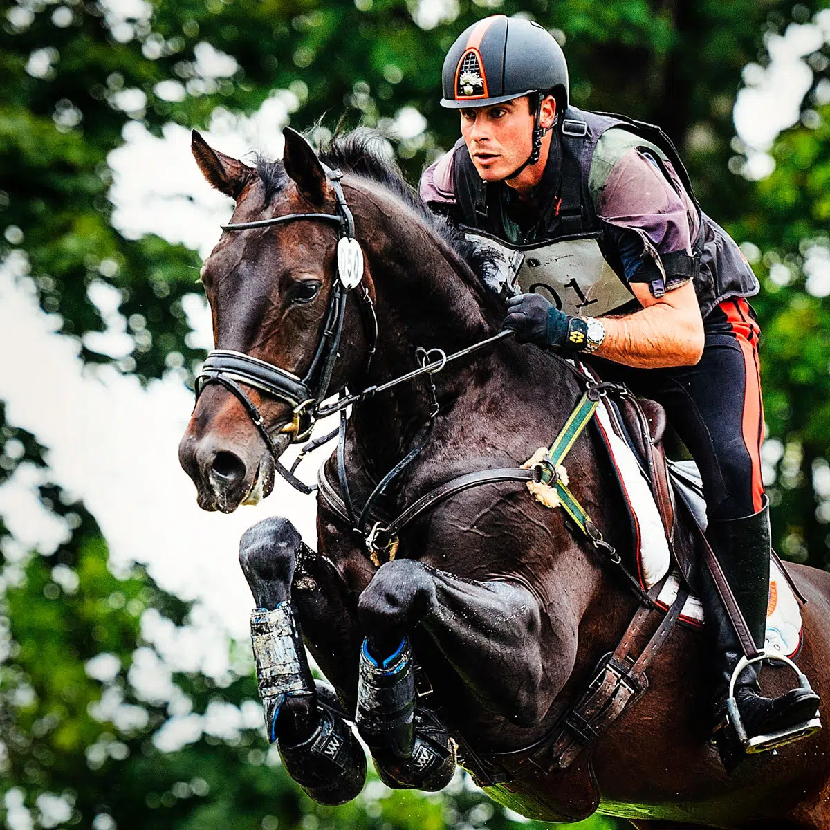 Horse and rider jumping over obstacle in equestrian show jumping event