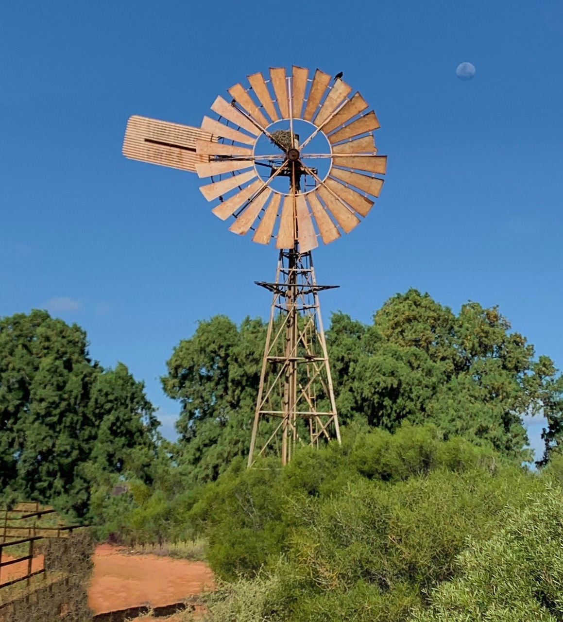 Outback Windmill at Dusk