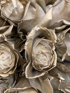 Close-up of several dried cream-colored roses with papery petals filling the frame