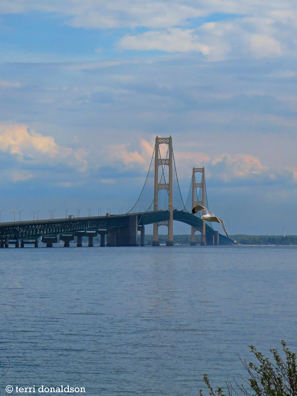 Suspension bridge spanning calm water beneath a cloudy blue sky
