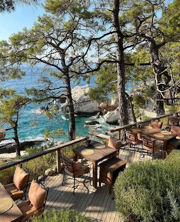Wooden deck with tables and chairs under pine trees overlooking blue ocean