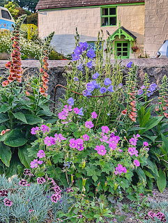 Colorful wildflowers including purple and pink blooms in front of stone cottage with green-framed windows