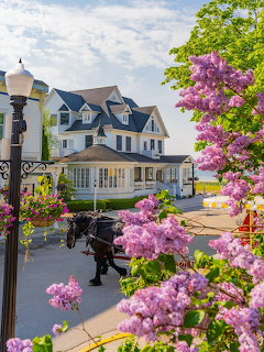 White Victorian hotel with purple flowers and horse-drawn carriage in foreground