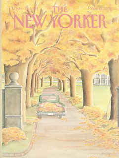 Autumn Tree Tunnel