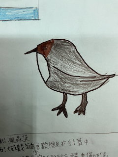Child's pen drawing of a small bird with brown head and gray body on paper with Chinese writing