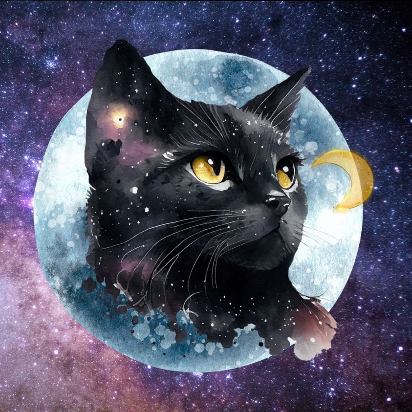 Black cat with golden eyes in front of large moon surrounded by purple and blue starry space with nebula clouds
