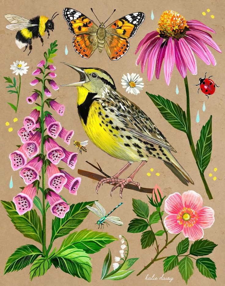 Yellow meadowlark bird with wildflowers, butterflies, bumblebee and ladybug illustration