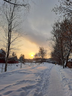 Snowy village path at sunset with bare trees and houses under a winter sky