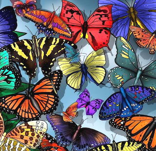 Colorful Butterflies Collection