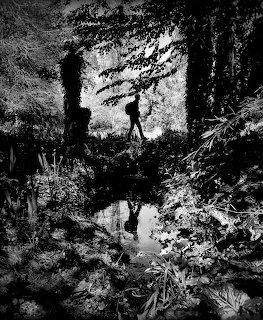 Black and white photo of a silhoueted figure in a forest reflected in a pond below