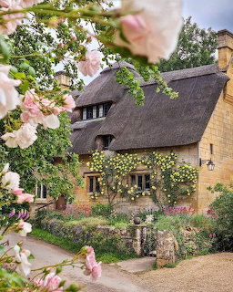 Thatched stone cottage with yellow climbing roses and pink blossoms in the foreground