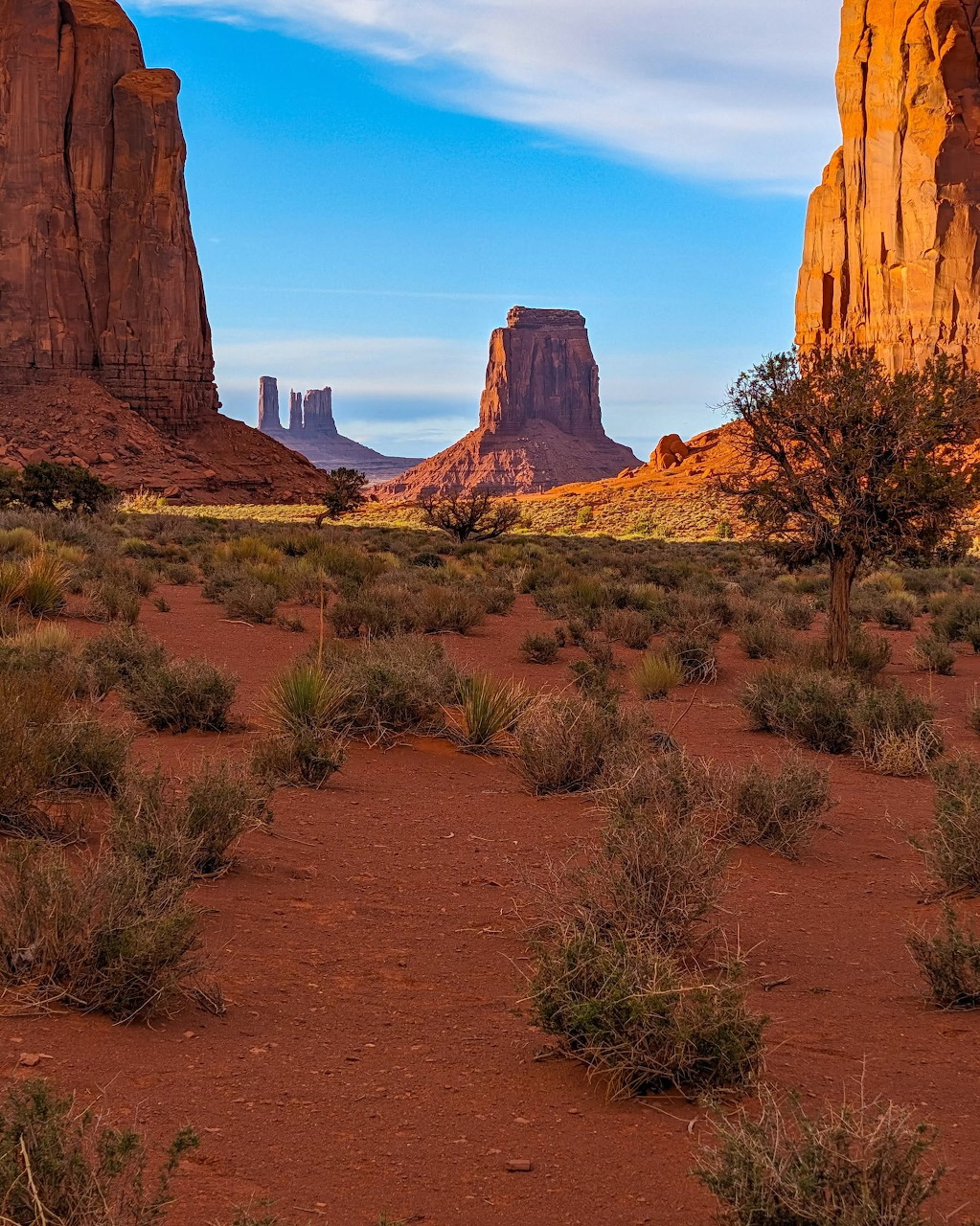 Desert path with red sandstone buttes and shrubs under a blue sky