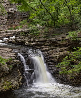 Forest Waterfall Over Rocks