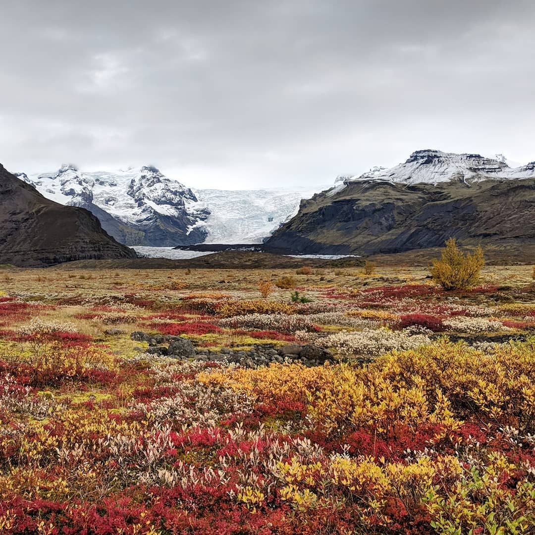 Icelandic Tundra