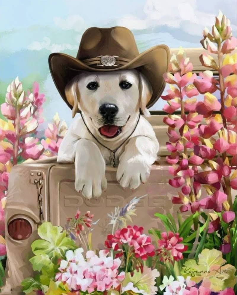 Painted white Labrador puppy in a cowboy hat leaning from an old truck among pink flowers