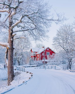 Red wooden farmhouse surrounded by snow-covered trees on a winter day