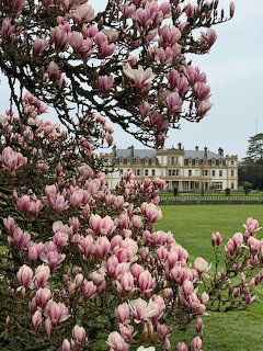 Magnolia Tree Manor