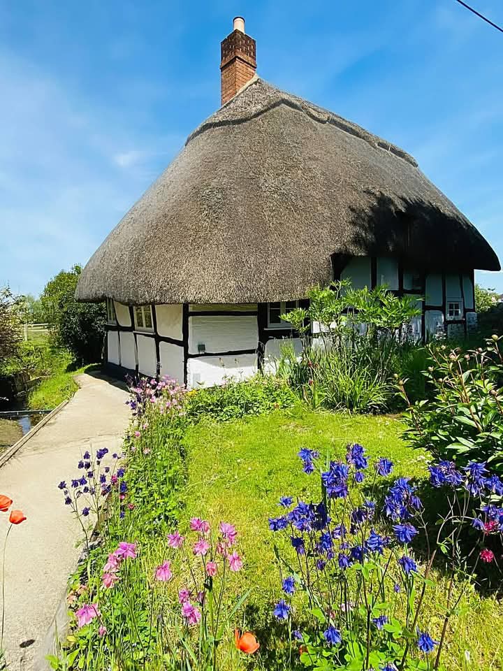 Thatched roof cottage with timber frame walls and a lush garden with blue and pink flowers