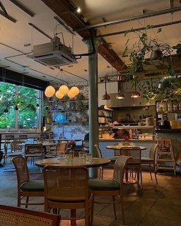 Cozy cafe interior with hanging plants, warm lighting, wicker chairs, and open kitchen area