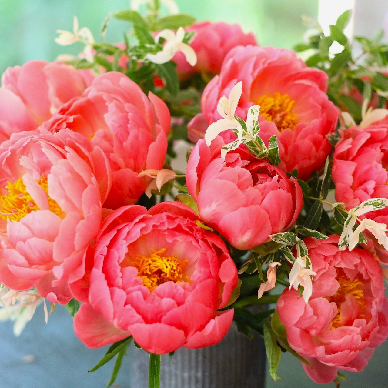 Close-up bouquet of pink peonies with yellow centers and green leaves in a vase