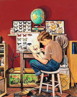 Boy on stool studying butterfly collection at desk with globe, framed butterflies, and fish tank