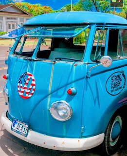 Bright blue vintage van parked on a sunny street with tropical plants behind it