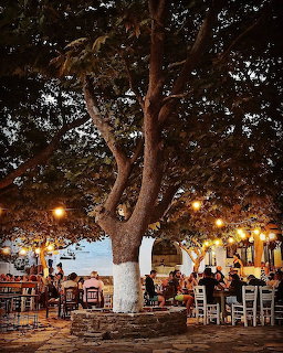Outdoor cafe seating under a large tree with warm lights in an evening courtyard