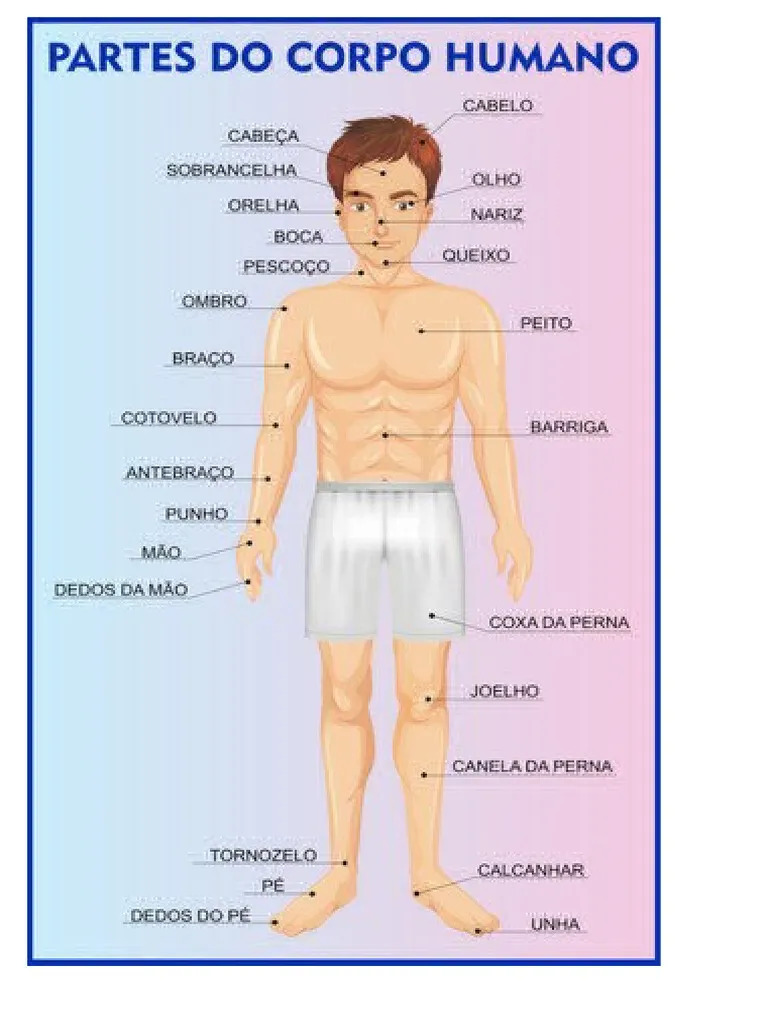 Human Body Parts Diagram