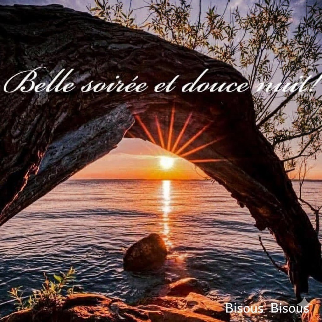 Sunset through driftwood arch over ocean with sunburst and reflection on water