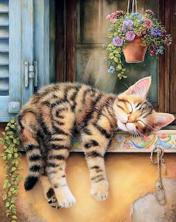 Sleeping Cat on Window Sill