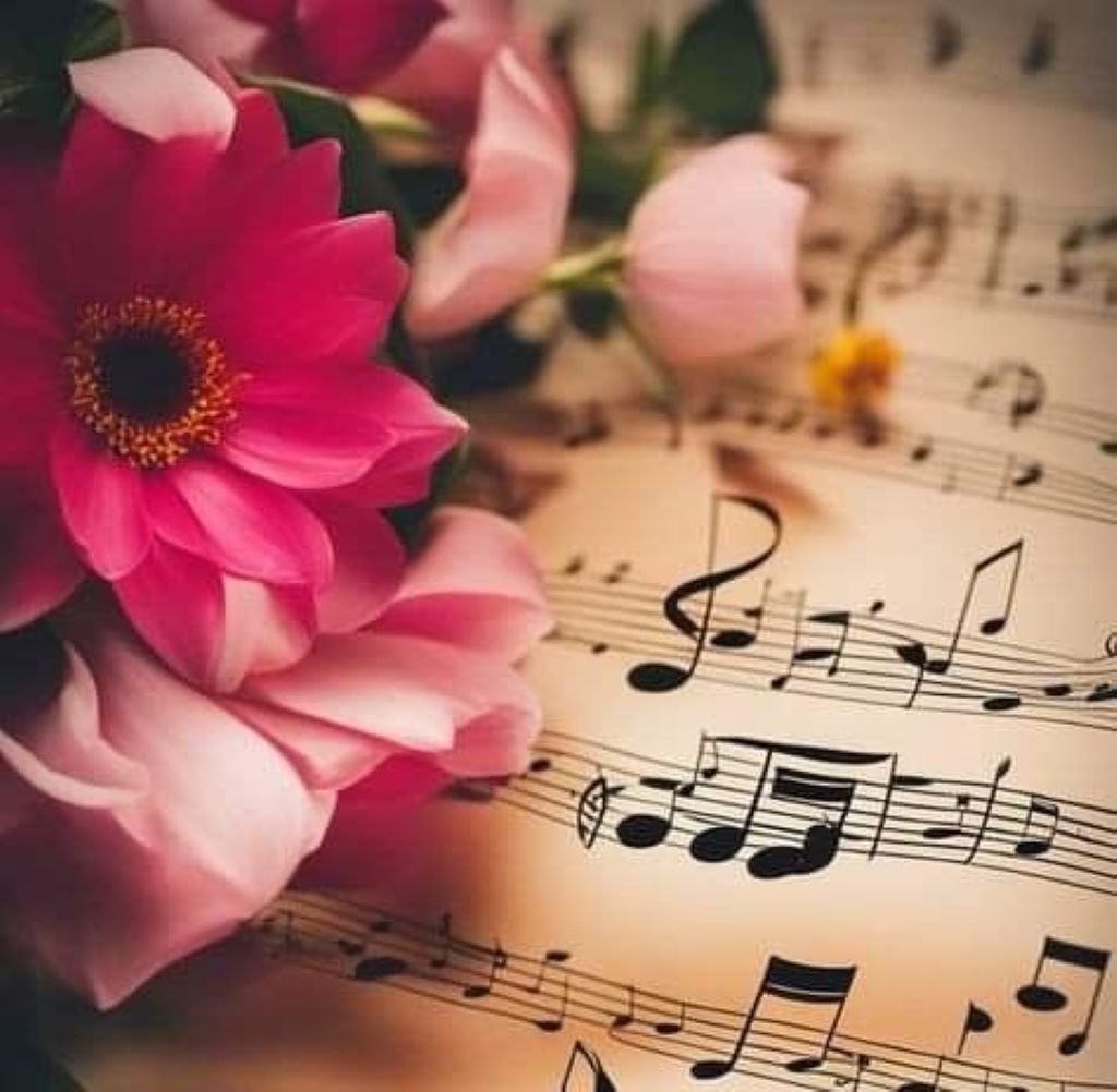 Pink flowers lying on sheet music with musical notes visible
