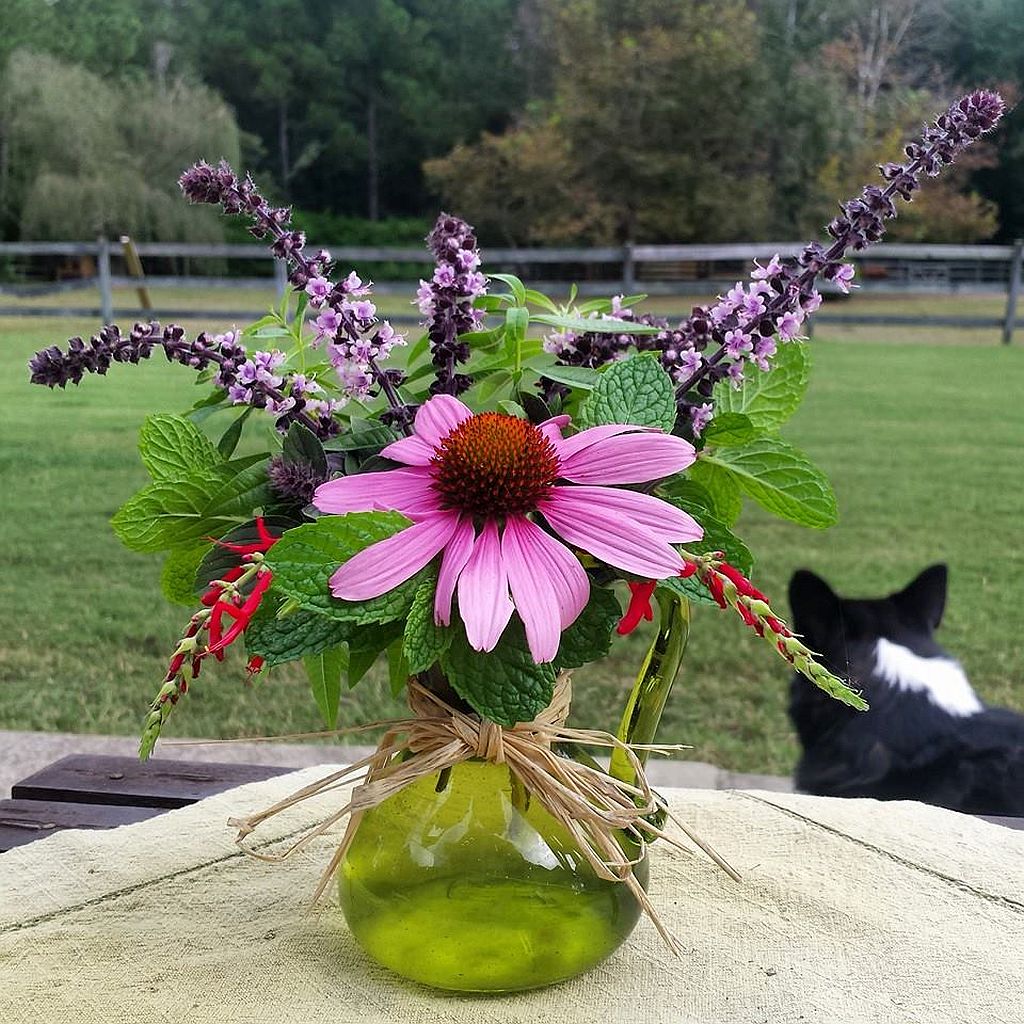 Pink echinacea and purple lavender in green glass vase on outdoor table