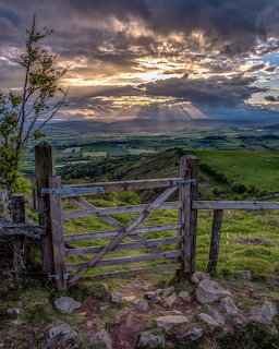 Rustic Gate Landscape