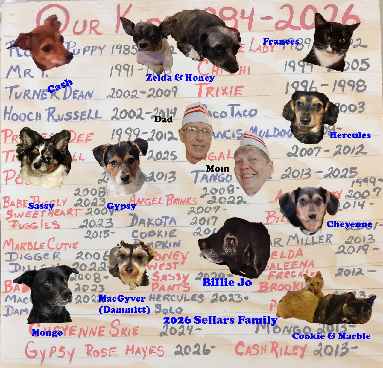 Collage of cat and dog photos with handwritten names and dates on a white poster