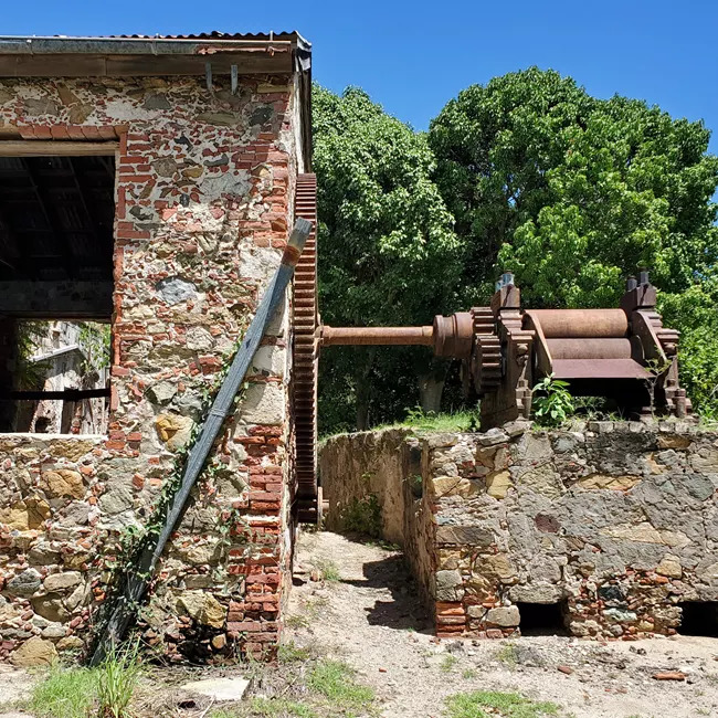 Old stone sugar mill ruins with large rusted gears and trees behind