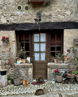Rustic cottage doorway with flower pots and several cats on a cobblestone path
