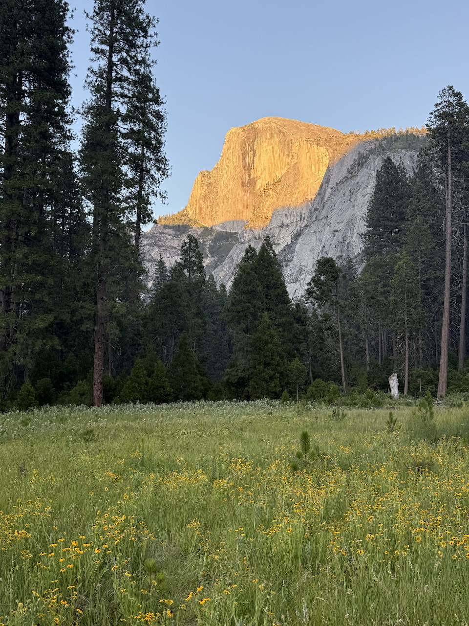 Yosemite Valley granite cliffs glowing under a warm sunset sky