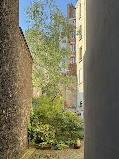 Narrow alleyway leading to a hidden Paris courtyard with a birch tree and potted plants