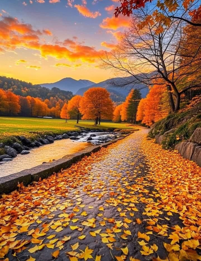 Autumn stream with golden trees, fallen leaves on path, mountains at sunset