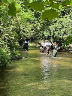 Rocky forest creek flowing through green woodland in Cashiers, North Carolina