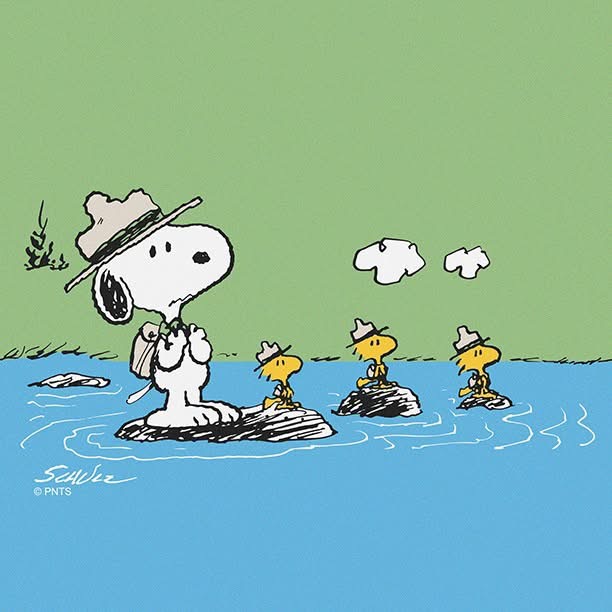 Cartoon Snoopy in hat on rock in water with three small yellow birds on nearby rocks