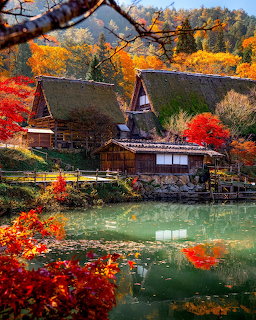Traditional Japanese thatched-roof houses surrounded by colorful autumn trees reflected in a pond