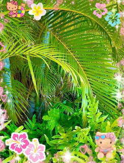 Tropical Palm Tree Aesthetic