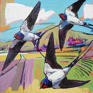 Swallows Daniel Cole