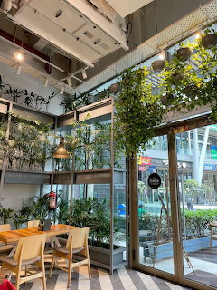 Cozy cafe interior with wooden tables, chairs, glass doors, and many green plants