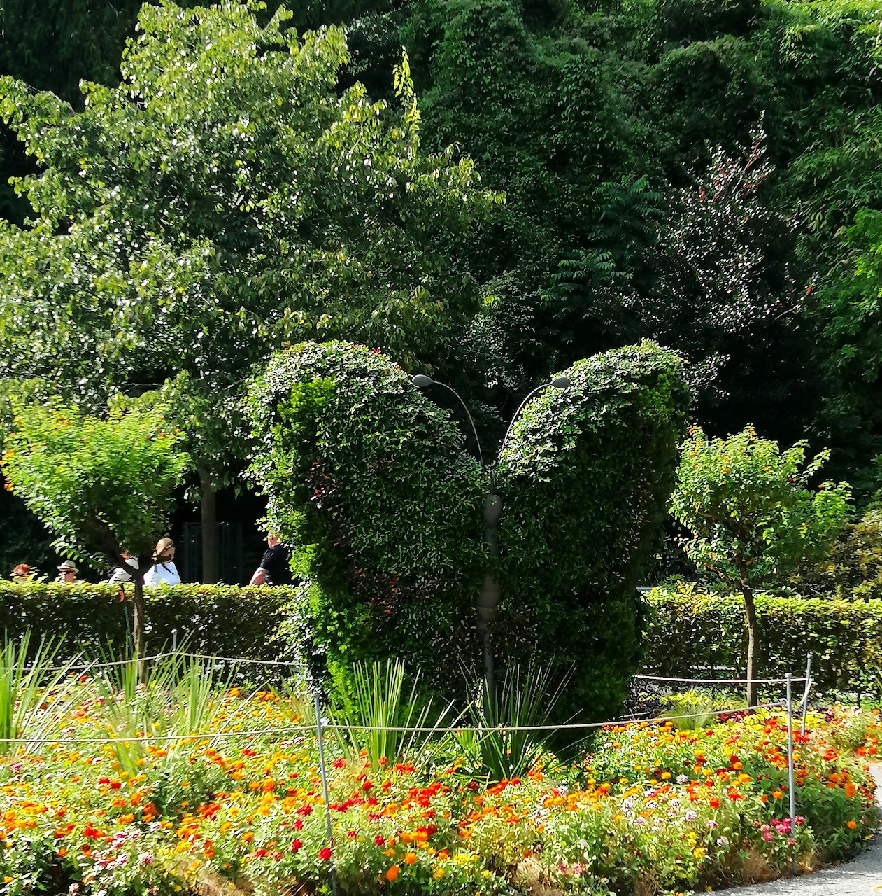 Butterfly-shaped topiary in a garden with colorful flowers and trees